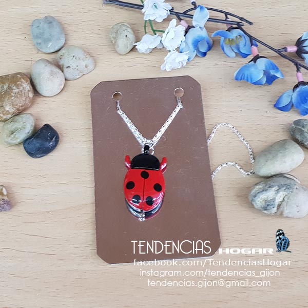 Reloj mariquita cerrado